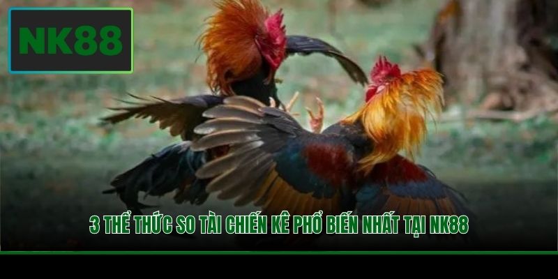 3 thể thức so tài chiến kê phổ biến nhất tại NK88