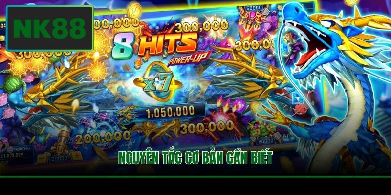 Nguyên tắc cơ bản cần biết