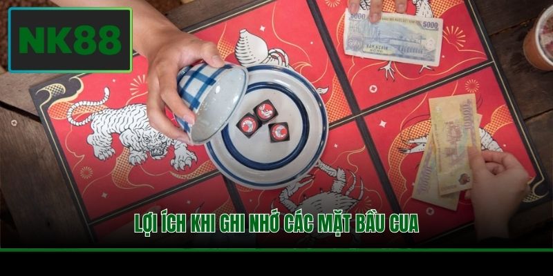 Lợi ích khi ghi nhớ các mặt bầu cua