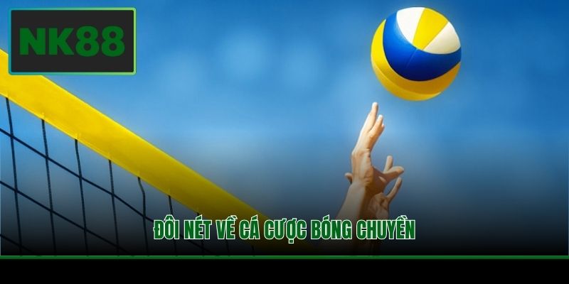 Đôi nét về cá cược bóng chuyền