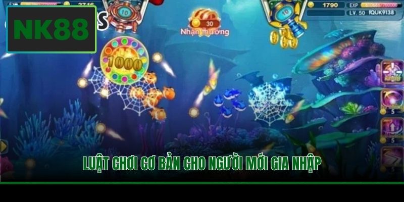 Luật chơi cơ bản cho người mới gia nhập